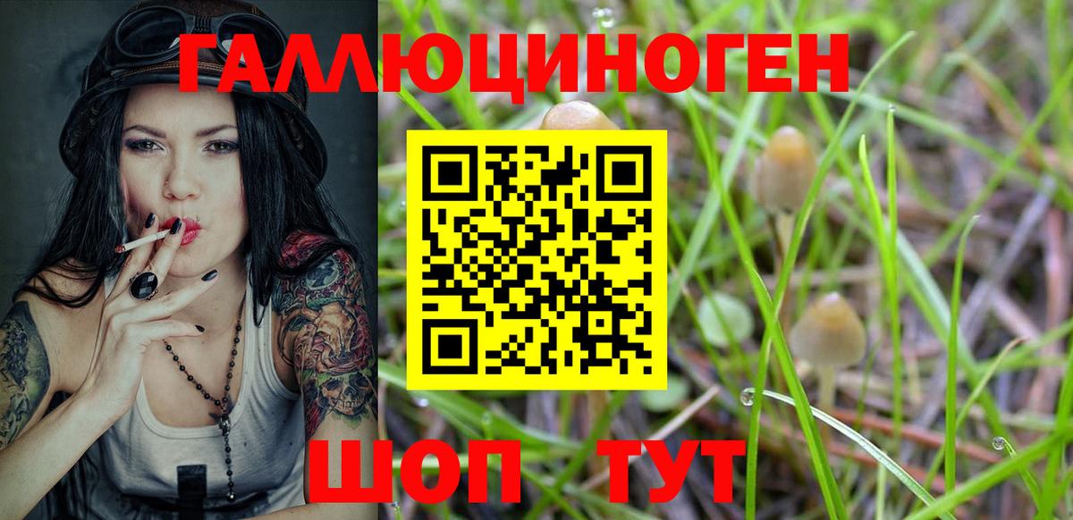 Псилоцибиновые грибы GOLDEN TEACHER  Вход с VPN  Великий Новгород 